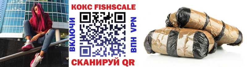 наркотики  Горячий Ключ  COCAIN FishScale 