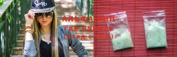 твердый Богданович