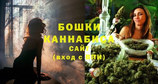 твердый Богданович
