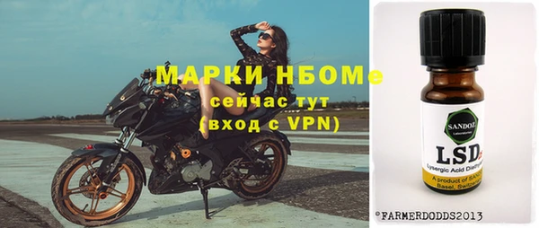 ГАЛЛЮЦИНОГЕННЫЕ ГРИБЫ Бородино
