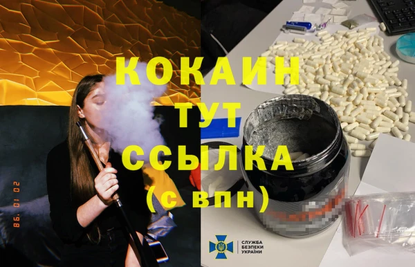 ГАЛЛЮЦИНОГЕННЫЕ ГРИБЫ Бородино