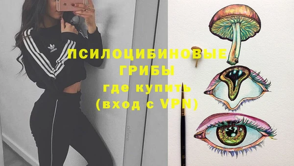 каннабис Богородицк